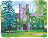 The Forest City Mix - Local Prints by Sheri Cowan