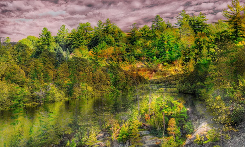 Verdant Feast - Composite Photograph on Metal