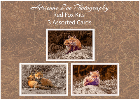 Assorted Card Set - Red Fox Kits (3 Assorted Cards)