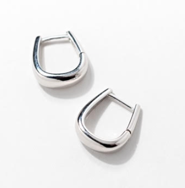 Earrings - Horsebit