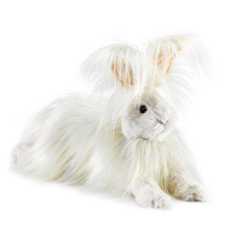 Angora Rabbit