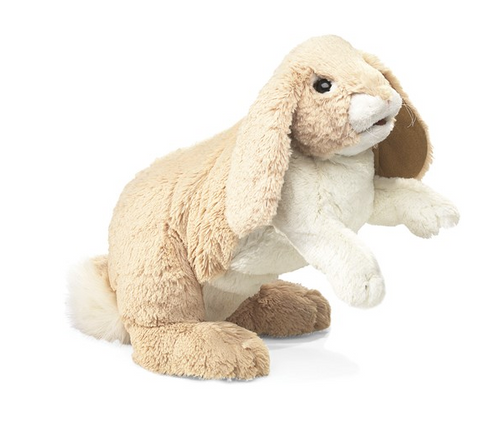 Floppy Bunny Rabbit