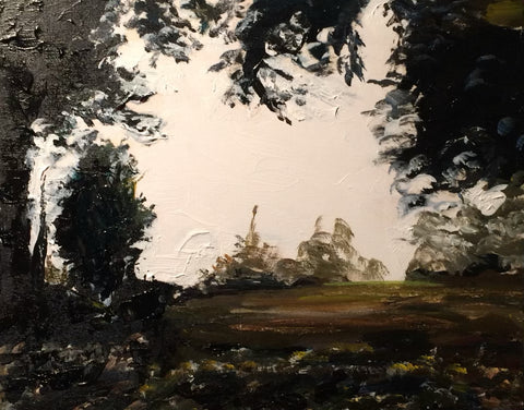 At the Edge of Warbler Woods