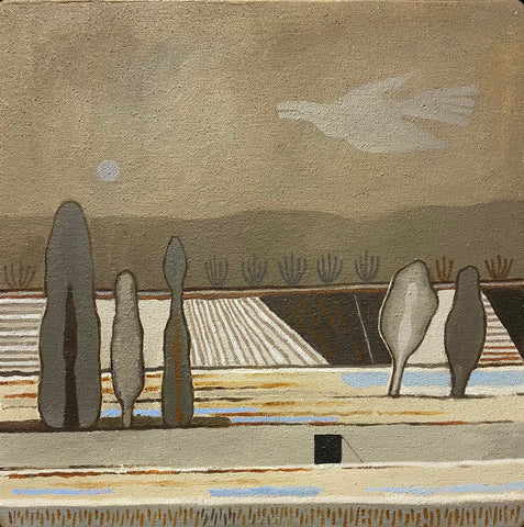 Bird Flying Over Spring Thaw