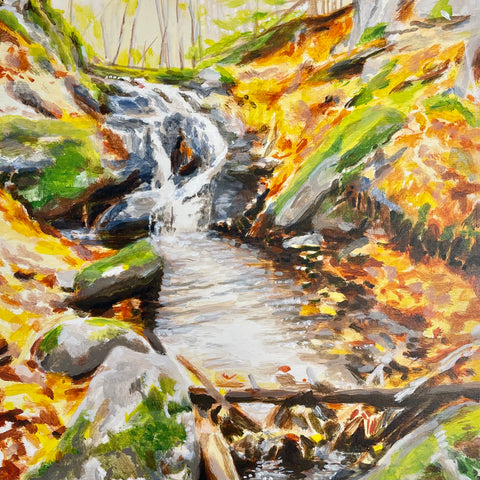 Small Falls At Kingsmere