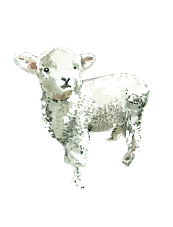 Card - Niki Kingsmill - Lamb