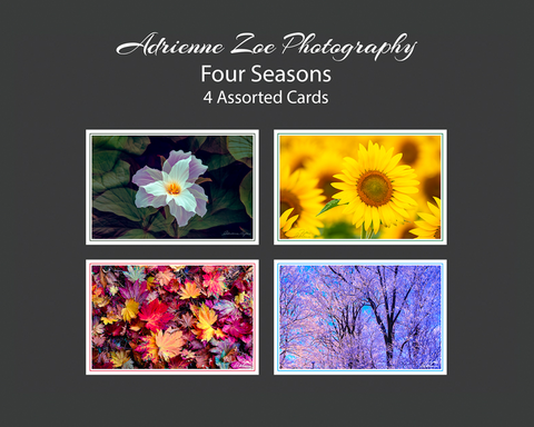 Assorted Card Set - Four Seasons