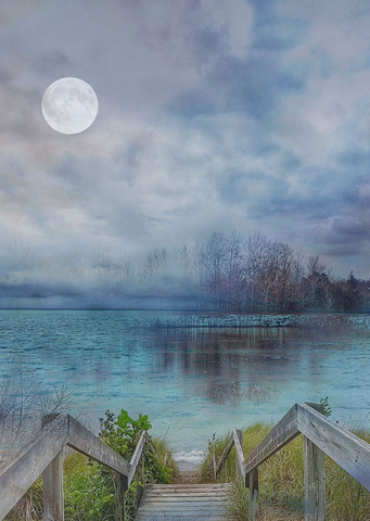 Moonlight Musings - Composite Photograph on Metal