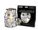 Luminary - Louis C. Tiffany, Magnolia Window - Set of Four