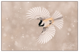 Nature Art Cards - Fall + Winter