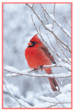 Nature Art Cards - Fall + Winter