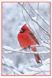 Nature Art Cards - Winter