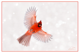 Nature Art Cards - Fall + Winter