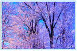 Nature Art Cards - Fall + Winter