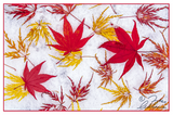 Nature Art Cards - Fall + Winter