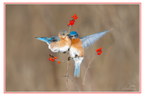 Nature Art Cards - Fall + Winter