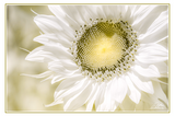 Nature Art Cards - Spring + Summer