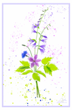 Nature Art Cards - Spring + Summer