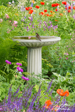 Nature Art Cards - Spring + Summer