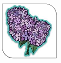 Miskomin Kwe Sticker Collection