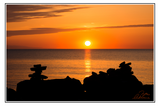 Nature Art Cards - Spring + Summer