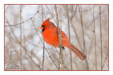 Nature Art Cards - Fall + Winter