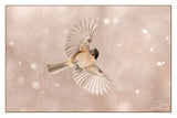 Nature Art Cards - Fall + Winter