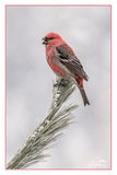 Nature Art Cards - Fall + Winter