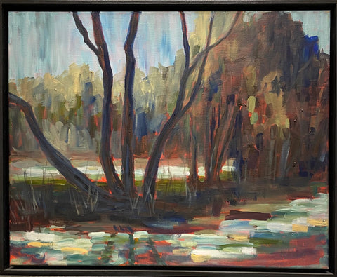 Thames At Springbank Park