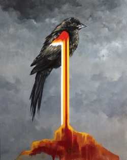 Red-Winged Blackbird