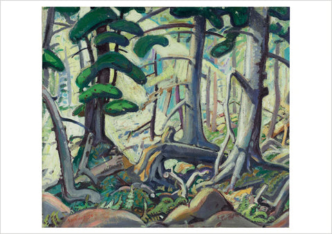 Card - Sunlight in a Wood, Arthur Lismer