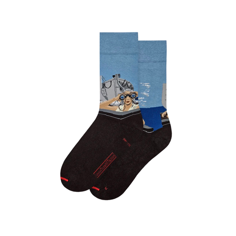 Socks - To Prince Edward Island, Alex Colville, 36-40