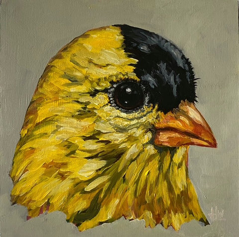 Goldfinch