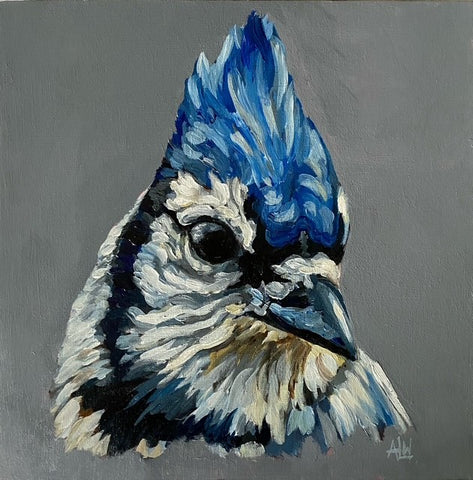 Blue Jay
