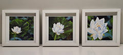 From the Mud (Triptych)