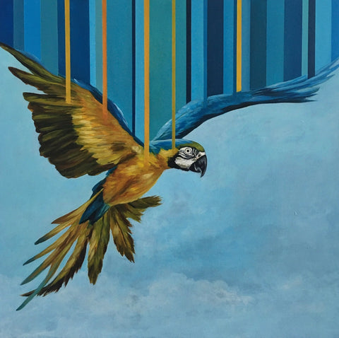 Macaw at Sunrise - Limited Edition Print