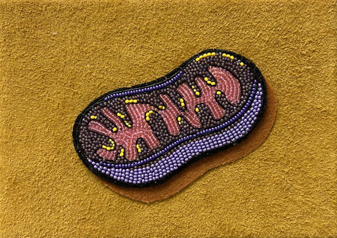 Mitochondria