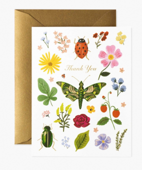 Card - Curio Thank You