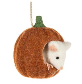 Mouse in Small Pumpkin