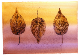 Card - Beech Leaves (watercolour)