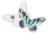 Butterfly Two-Sided Magnet Decor