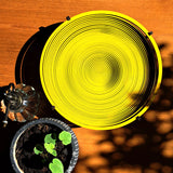 Spiral Wave Bowl - Yellow