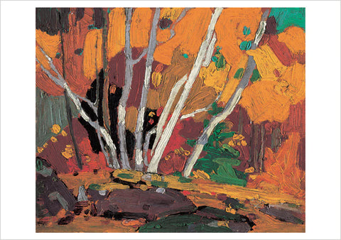 Postcard - Autumn Birches, Tom Thomson