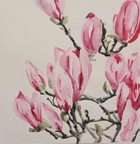 Watercolour Magnolia