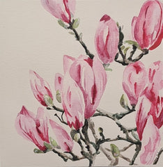 Watercolour Magnolia
