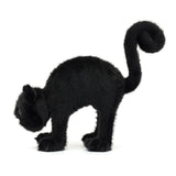 SpookiPaws Cat