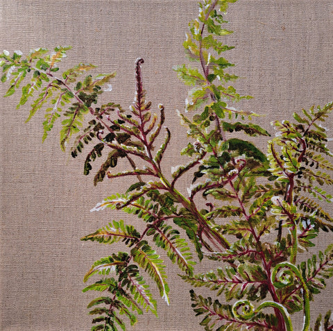 Painted Fern