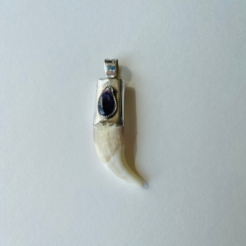Pendant - Bear Tooth with Wampum