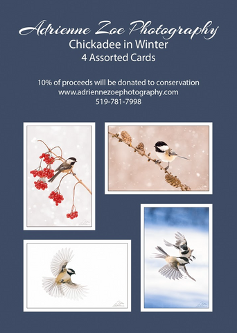 Assorted Card Set - Chickadee in Winter