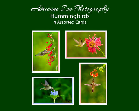 Assorted Card Set - Hummingbirds